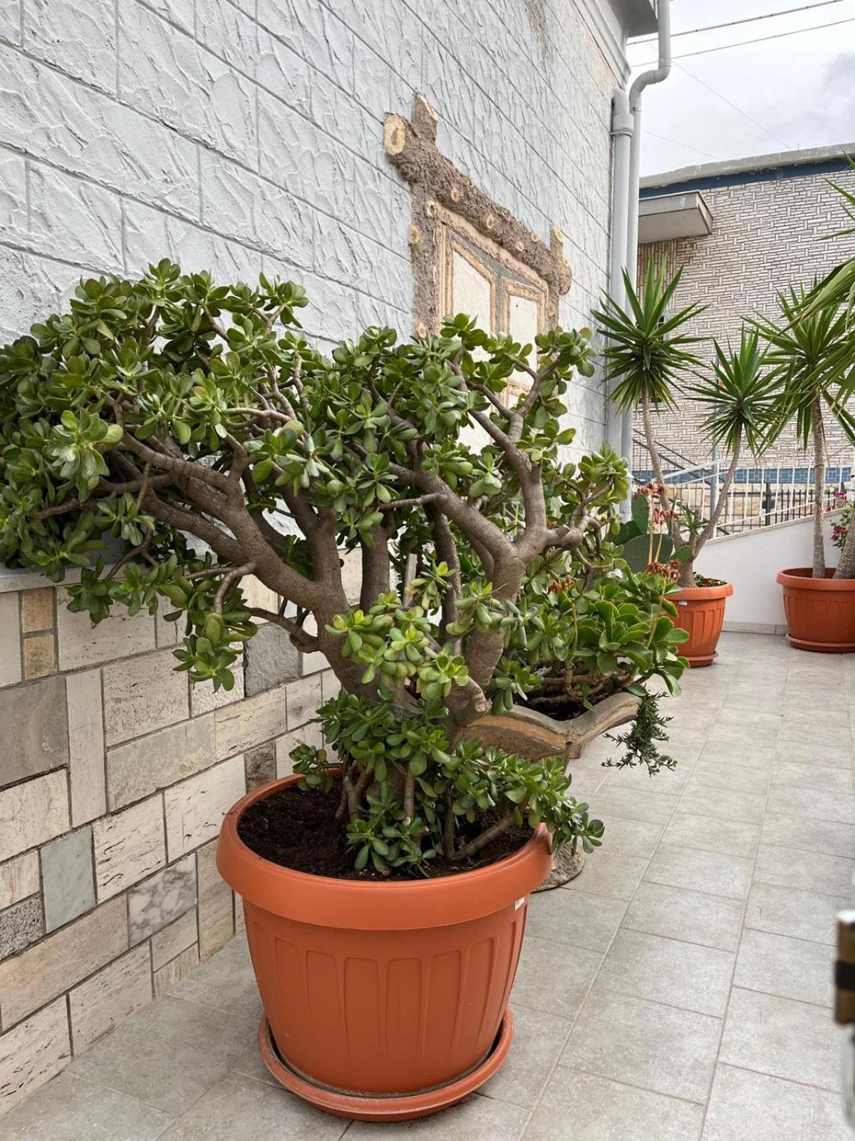 Casa Myda Apartment Bari Ngoại thất bức ảnh